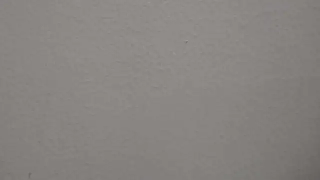 jettcart's cam snapshot