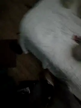 Edu235's cam snapshot