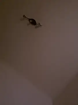 bursars live sex cam