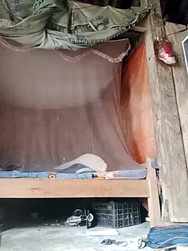 Noelle-e's cam snapshot