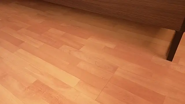 Lollyops's cam snapshot