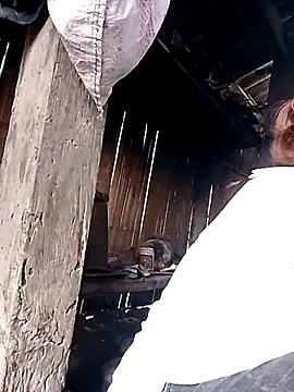 Nhoccon90's cam snapshot