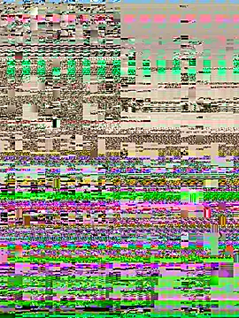 Zara_Ross live sex cam