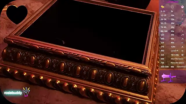 rosiebuddy's cam snapshot