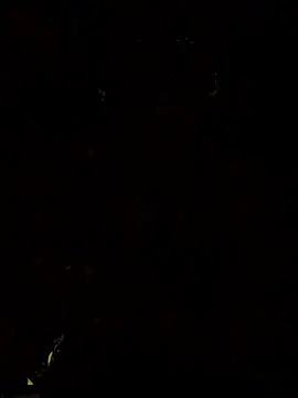 Camilaaaice's cam snapshot