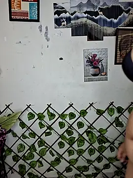 Noor-Bold's cam snapshot