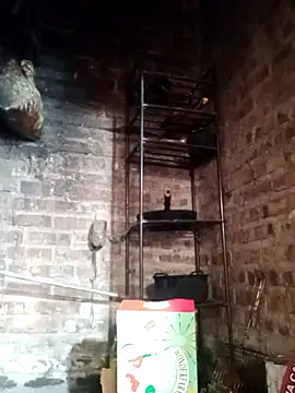 neyney110's cam snapshot