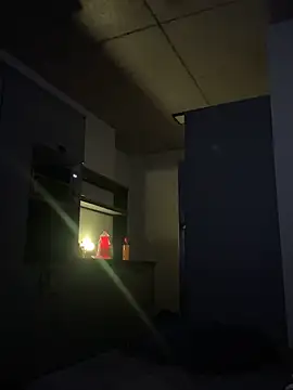 vinihfeh live sex cam