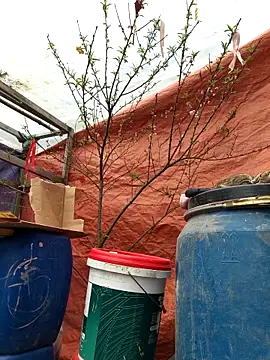 liu-liusexy live sex cam