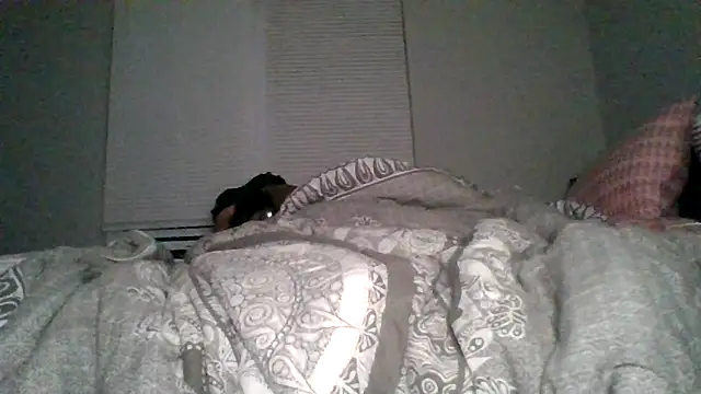 dezzidavill's cam snapshot