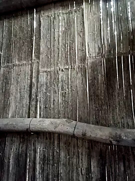 Mini66666's cam snapshot