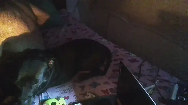 jaxx12369 live sex cam