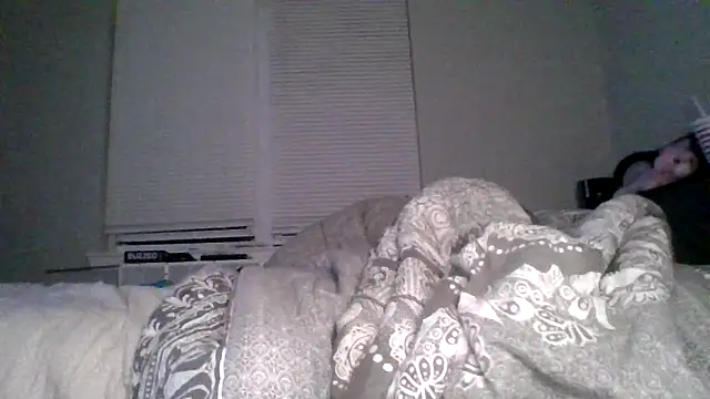 dezzidavill live sex cam