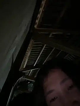 ThiHa003's cam snapshot