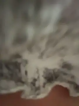 LikaCat's cam snapshot