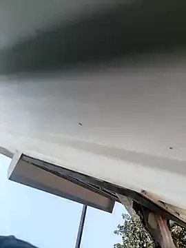 Bengal_Tiger420's cam snapshot