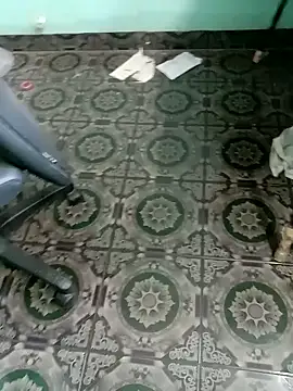 tamilansinsforu live sex cam