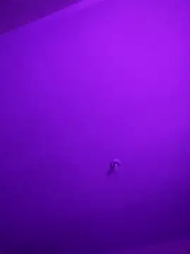 checheludo23's cam snapshot