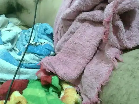 PudimGuloso live sex cam