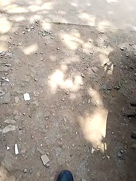 Mrveda66 live sex cam