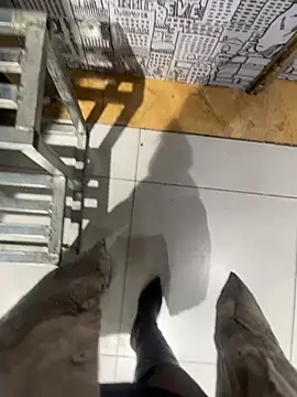 petoys's cam snapshot