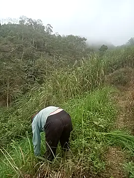 nangmo's cam snapshot