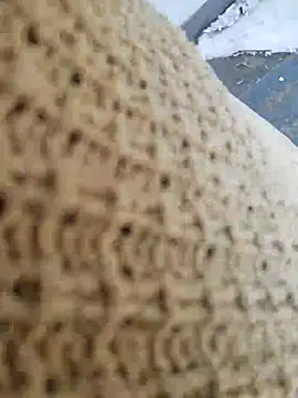 curvycloe1 live sex cam