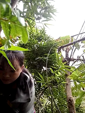 Noelle-e's cam snapshot