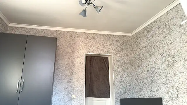 RegenaLandauer's cam snapshot