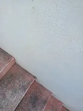 Roughkings's cam snapshot