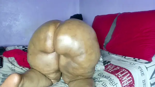 wilmaassylum's cam snapshot