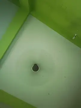 06Rozi's cam snapshot