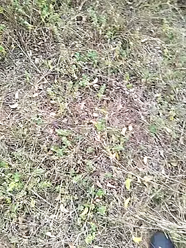 Mrveda66 live sex cam