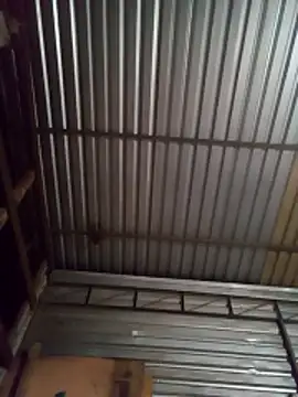 Emilis2347 live sex cam