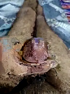 88zaifkhan88 live sex cam