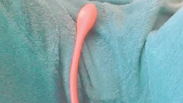 melaniy's cam snapshot