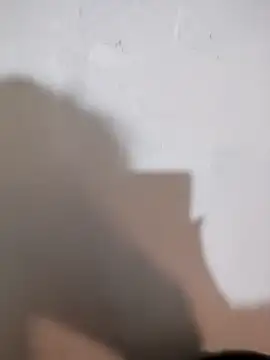 millkon's cam snapshot