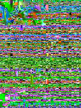 adhya007's cam snapshot