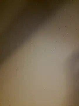 striplove777 live sex cam