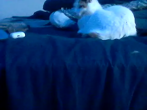 Silencio26 live sex cam