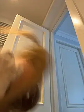 curvyflawless live sex cam