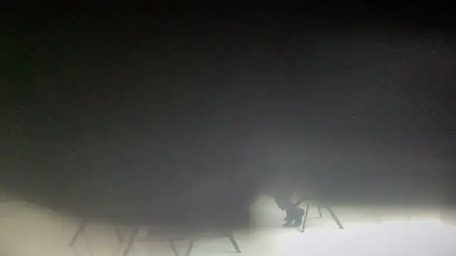 eatmypie69's cam snapshot