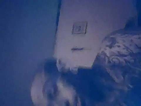 tattooed4you live sex cam