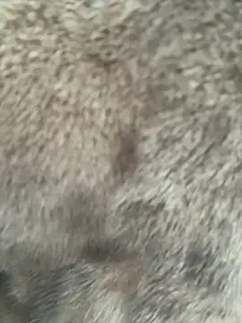 Marina-'s cam snapshot