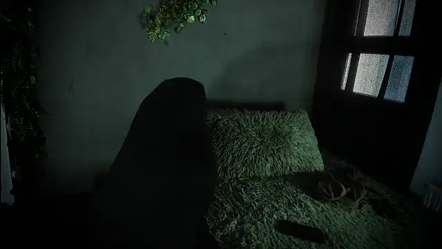 newjeff's cam snapshot