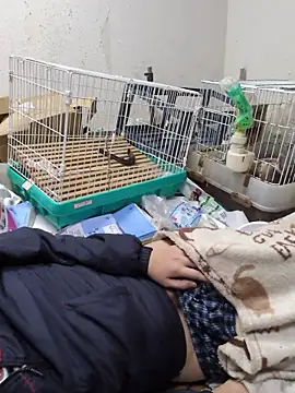 youheikun's cam snapshot