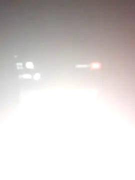 Ansiasex live sex cam