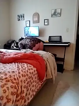 Rosegold2431 live sex cam