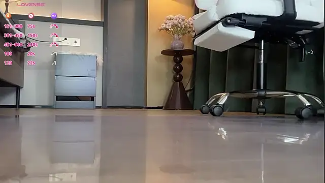 AYW-21's cam snapshot