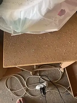 fbtesudo live sex cam